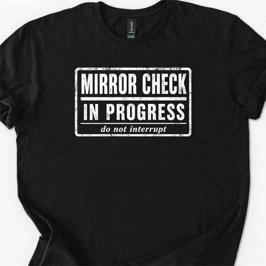 Mirror Check In Progress